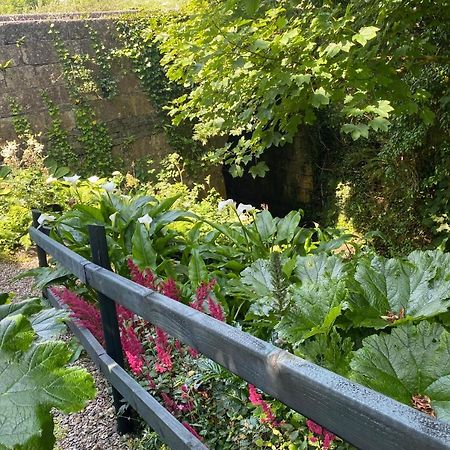 Atlantic Garden Lodge 리스둔바르나 외부 사진